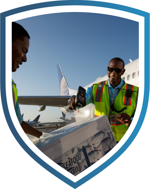 Cargo workers